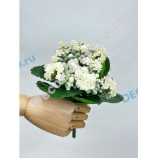 8781 Куст каланхоэ силикон